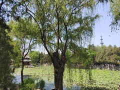 -莲池书院博物馆