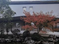 -秋霞圃