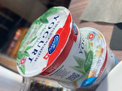 -新加坡瑞士史丹福酒店