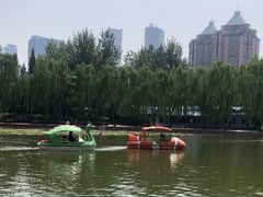 -团结湖公园