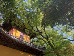 -普陀山风景名胜区-法雨禅寺
