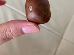 -阿男野栗王(金门路店)