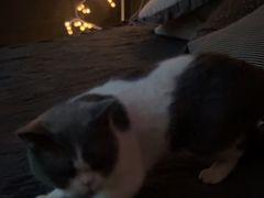 -悠米私人影院(街道口店)