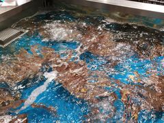 -盒马鲜生(189购物中心店)