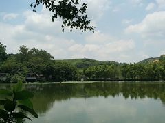 -美丽南方·老木棉匠园·团建烧烤·烤全羊