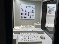 -安塔利亚博物馆