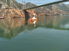 -刘家峡水库