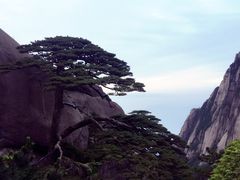 -黄山玉屏楼宾馆餐厅