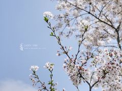 -上海辰山植物园