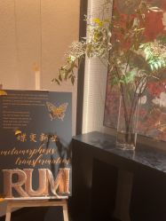 -RUMI日弥美容会所