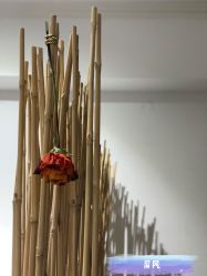 -爱薇半永久工作室