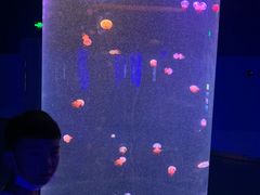 -福州罗源湾海洋世界旅游区