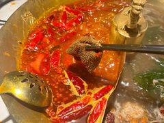 经典鸳鸯-小龙翻大江文化火锅(宽窄店)