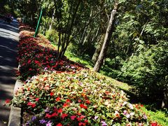 -黑龙江省森林植物园