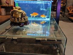 -苹果树下艺术餐厅(通州店)