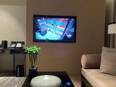 -成都尼依格罗酒店
