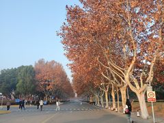 -东华大学(松江校区)