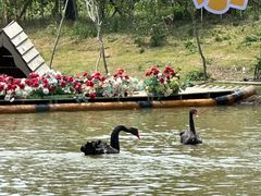 -祥源·阜阳生态乐园