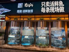 -老船舫·现做活鲜鱼馆(东郊记忆店)