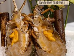 -喜聚薈·花膠雞海鮮火鍋(越秀店)