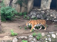 -北京动物园-畅观楼