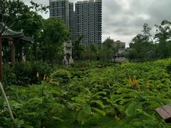 -大亚湾红树林城市湿地公园