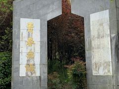 -东平国家森林公园