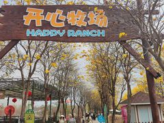 -盈香心动乐园