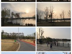 -上海长兴岛郊野公园