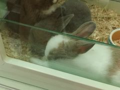 -龙猫仔乐园(惠福东路店)