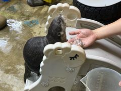 -太平洋海底世界