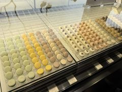 -BLACKSWAN黑天鹅(环球店)