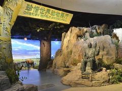 -陕西自然博物馆