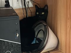 -瑞鹏宠物医院·骨科·猫科·内科(第一中心)