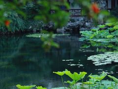 -艺圃