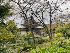 -天龙寺