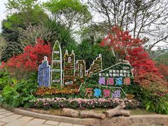 -梧桐山风景名胜区