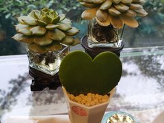 -东航云逸酒店(九溪烟树店)