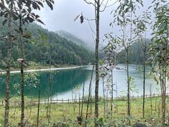 -武陵山森林公园