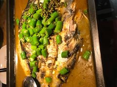 -探炉·香辣豆花烤鱼(雄峰城店)