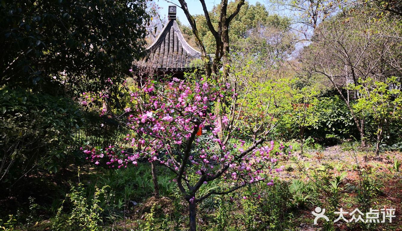 重建了部分景點1958年正式建成張堰公園