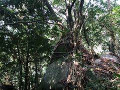 -七仙岭温泉国家森林公园