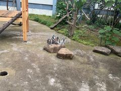 -苏州上方山国家森林公园