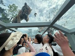 -西霞口神雕山野生动物世界