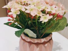 -胜记为食家·创新粤菜(车公庙店)