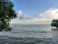 -宝安西湾红树林湿地公园