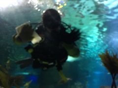 -凯莉-塔尔敦海洋生物水族馆