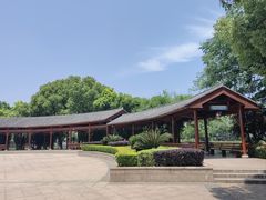 -金银湖国家城市湿地公园