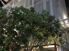 -Let's Relax Spa(Phuket 3rd Street)