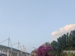 -三亚红色娘子军演艺公园景区
